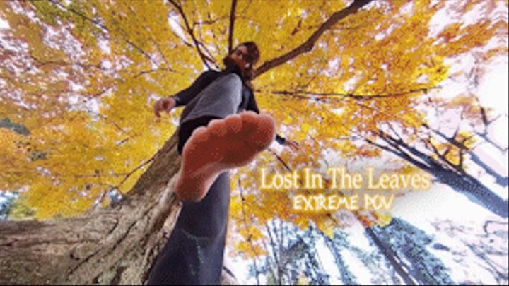 Lost In The Leaves EXTREME POV - HD 720p Version